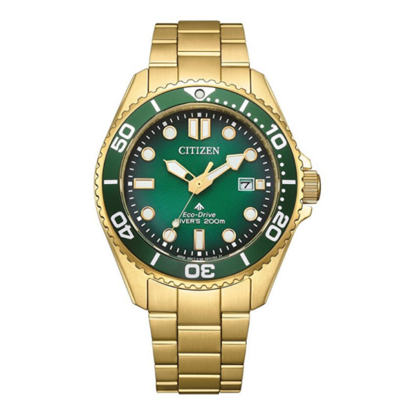 Citizen BN0262-59W Kol Saati