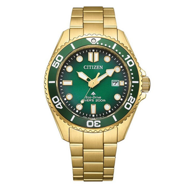 Citizen BN0262-59W Kol Saati