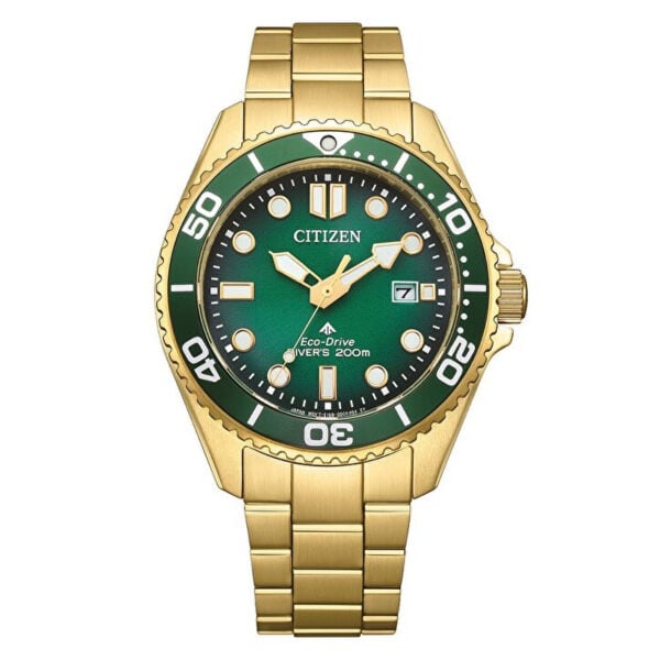 Citizen BN0262-59W Kol Saati