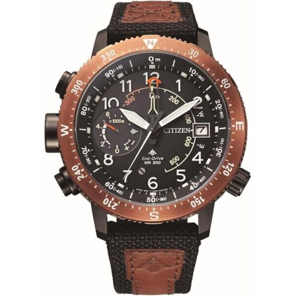 Citizen BN4049-11E Kol Saati
