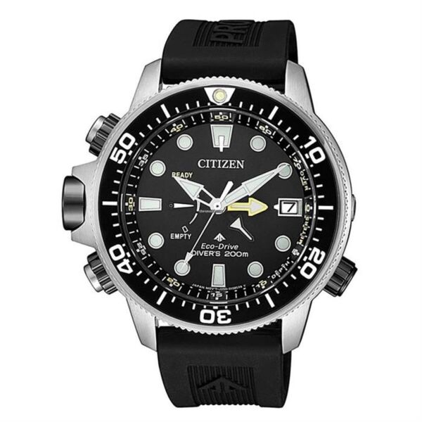 Citizen BN2036-14E Kol Saati